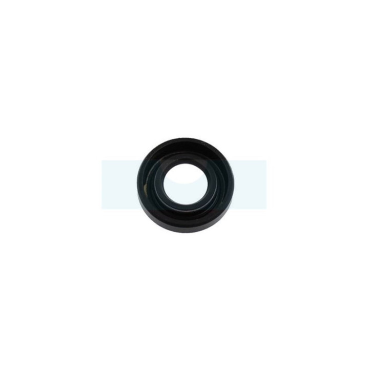 Joint spi pour moteur Briggs & Stratton (691952)