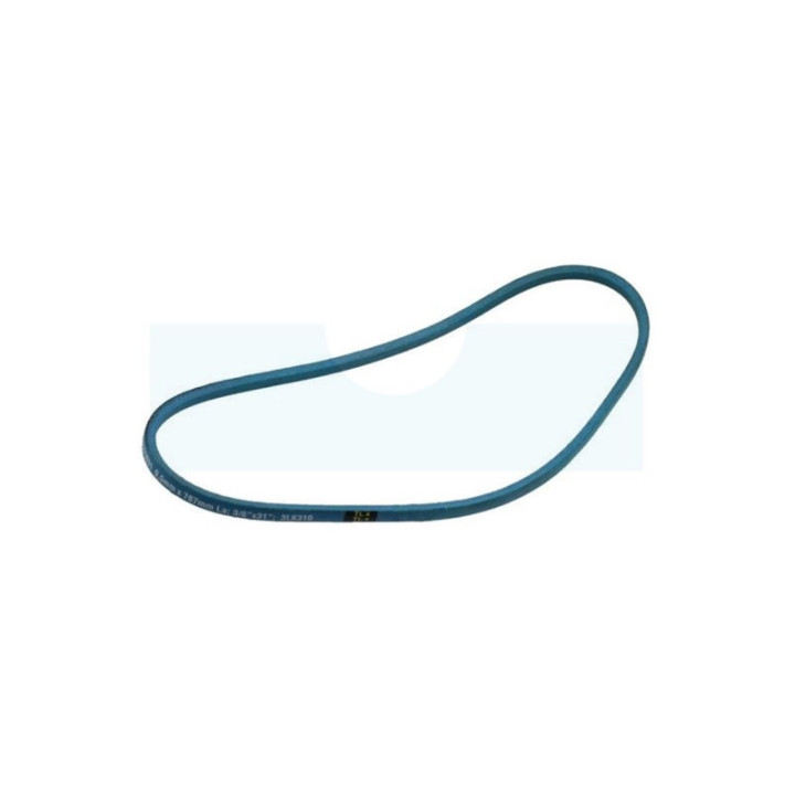 Courroie trapézoïdale pour MTD (09248764)