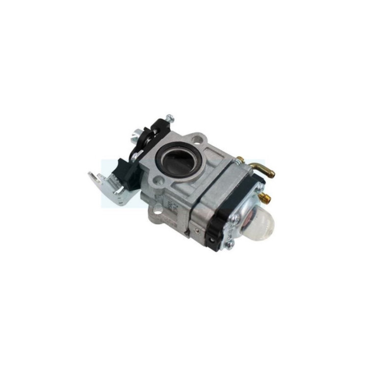 Carburateur pour moteur MTD (09263583)
