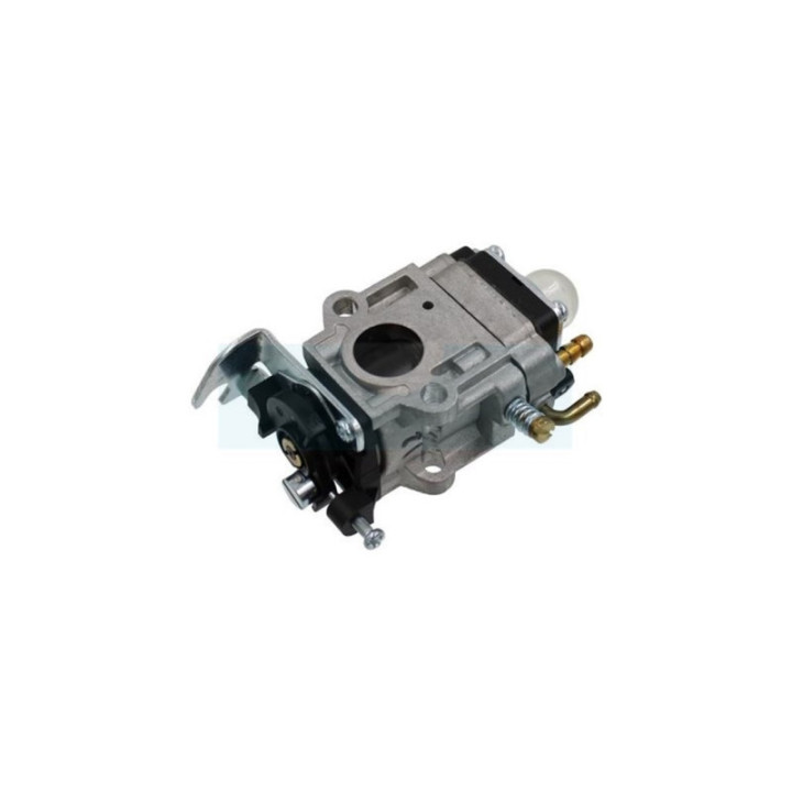 Carburateur pour moteur MTD (09263583)
