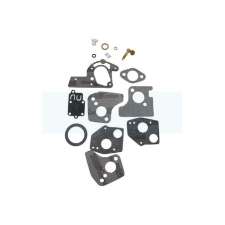 Kit réparation carburateur pour moteur Briggs & Stratton (495606)