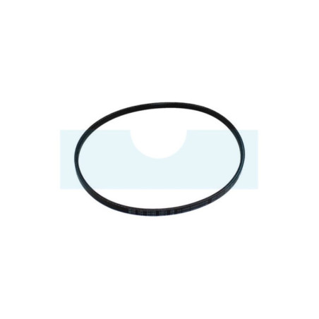 Courroie trapézoïdale pour MTD (75404182)
