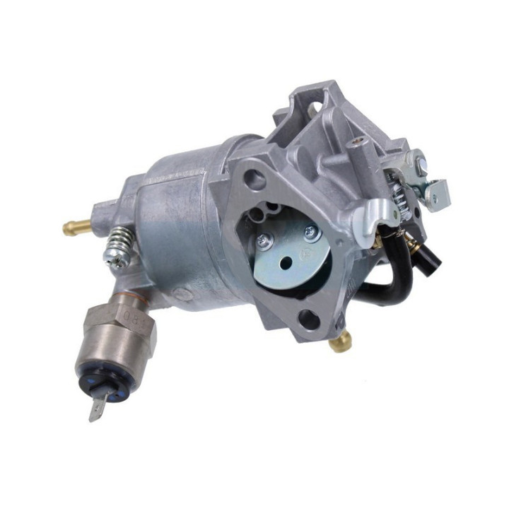 Carburateur pour moteur Kawasaki (150032693)