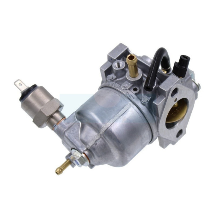 Carburateur pour moteur Kawasaki (150032693)