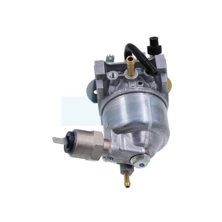 Carburateur pour moteur Kawasaki (150032693)