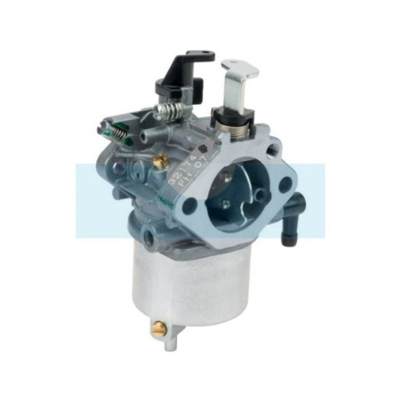 Carburateur pour moteur Kawasaki (150032174)