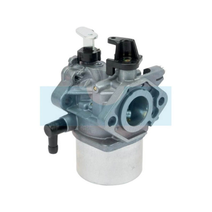 Carburateur pour moteur Kawasaki (150032174)