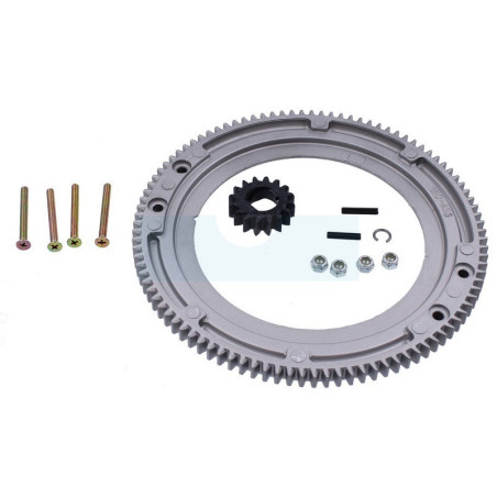 Couronne de démarreur pour moteur Briggs & Stratton (399676)