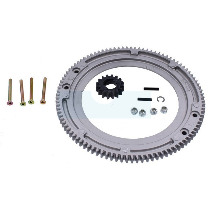 Couronne de démarreur pour moteur Briggs & Stratton (399676)