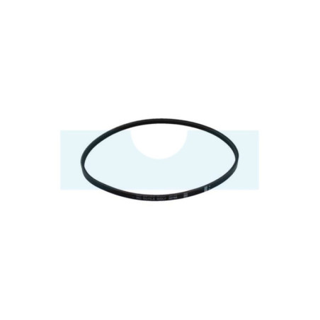 Courroie pour tondeuse Outils-Wolf (38799)