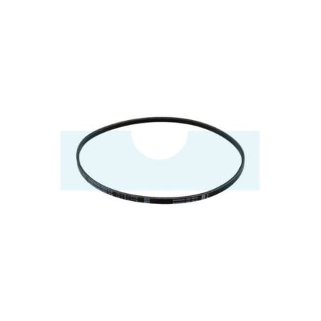 Courroie pour tondeuse Wolf (37974)
