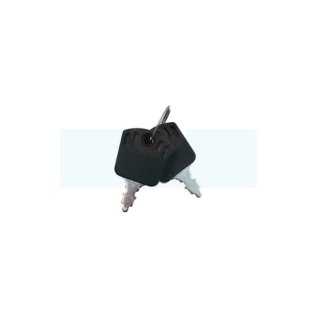 Clé de contact pour tracteur tondeuse Wolf (28388)