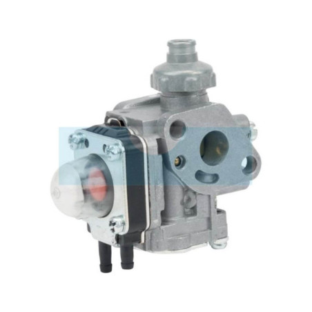 Carburateur pour moteur Kawasaki (150042029)