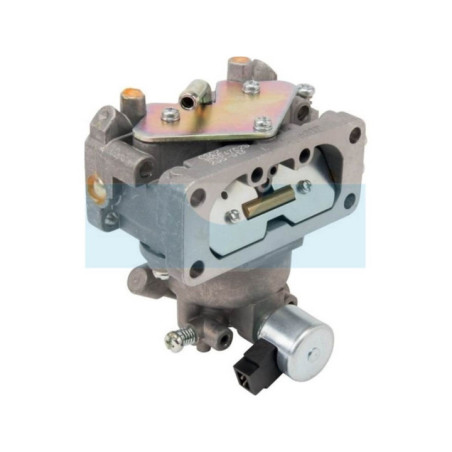 Carburateur pour moteur Kawasaki (150047028)