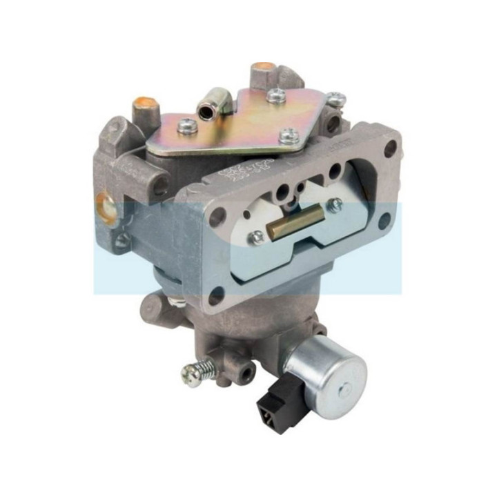 Carburateur pour moteur Kawasaki (150047028)