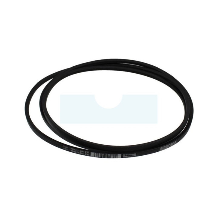 Courroie pour Simplicity (1703371)