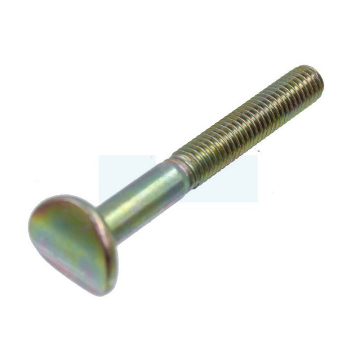 Vis de mancheron M6x50mm