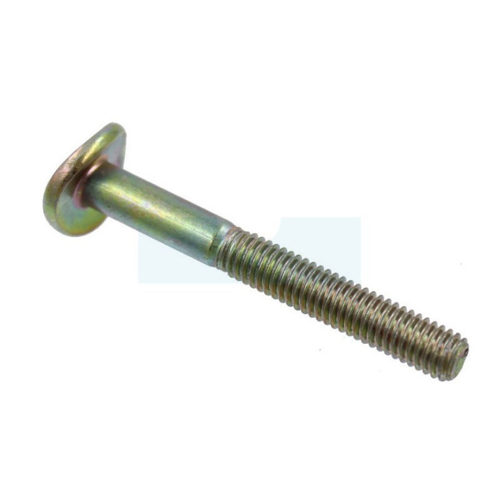 Vis de mancheron M6x50mm