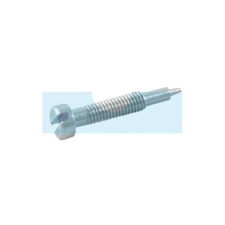 Vis de réglage pour moteur Briggs & Stratton (691777)