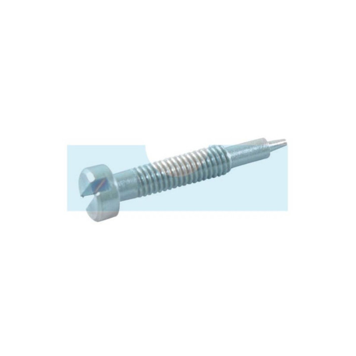 Vis de réglage pour moteur Briggs & Stratton (691777)