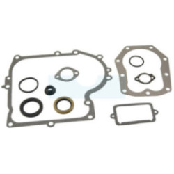 Pochette de joint pour moteur Briggs & Stratton (490525)