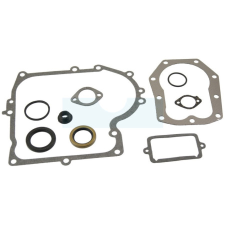 Pochette de joint pour moteur Briggs & Stratton (490525)