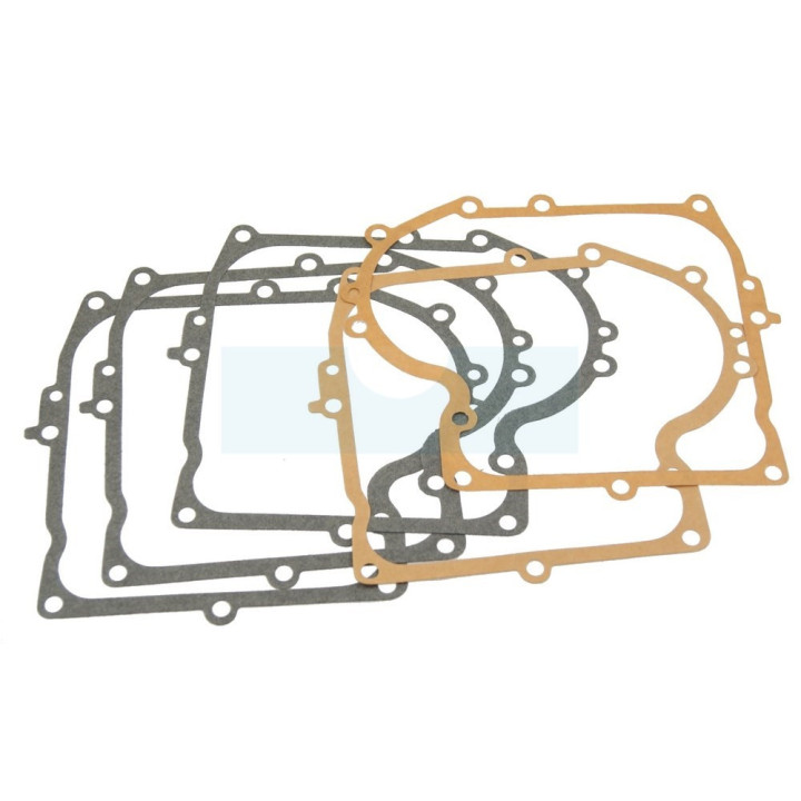 Pochette de joint pour moteur Briggs & Stratton (490525)