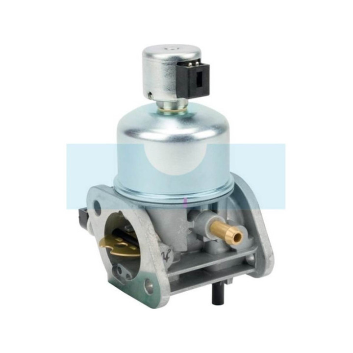 Carburateur pour moteur Kawasaki (150047060)