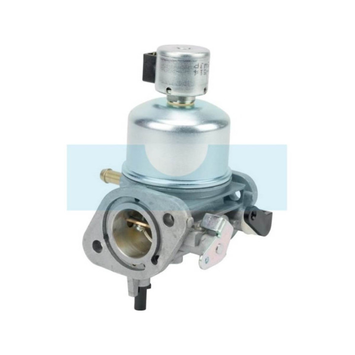 Carburateur pour moteur Kawasaki (150047060)