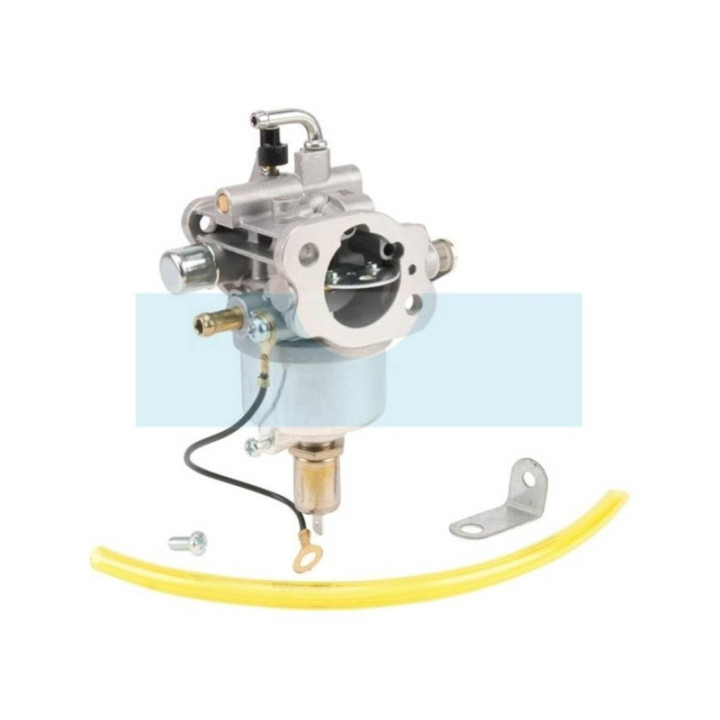 Carburateur pour moteur Kawasaki (999966055)