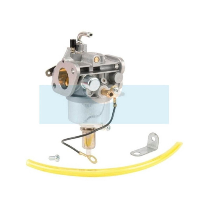 Carburateur pour moteur Kawasaki (999966055)