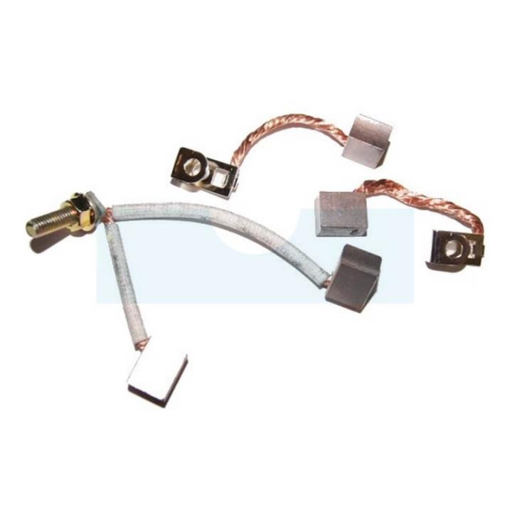 Jeu de charbons pour moteur démarreur Briggs & Stratton (490311)