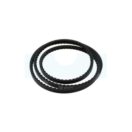 Courroie trapézoïdale pour tracteur tondeuse Toro (1159613)