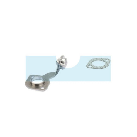 Thermostat pour moteur Briggs & Stratton (793498)