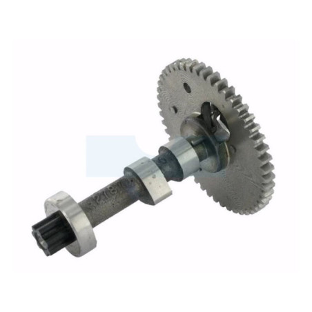 Arbre à cames pour moteur Briggs & Stratton (690927)
