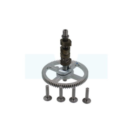 Arbre à cames pour moteur Briggs & Stratton (792555)