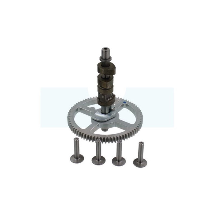 Arbre à cames pour moteur Briggs & Stratton (792555)