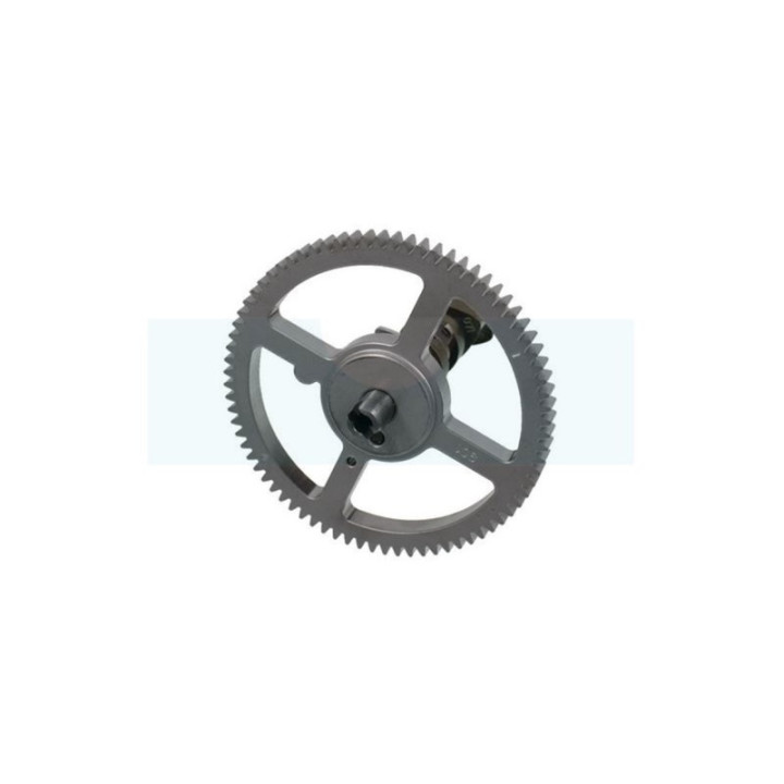 Arbre à cames pour moteur Briggs & Stratton (792555)