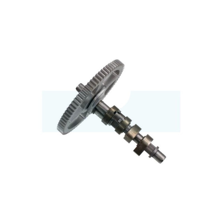 Arbre à cames pour moteur Briggs & Stratton (792555)