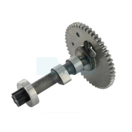 Arbre à cames pour moteur Briggs & Stratton (797851)