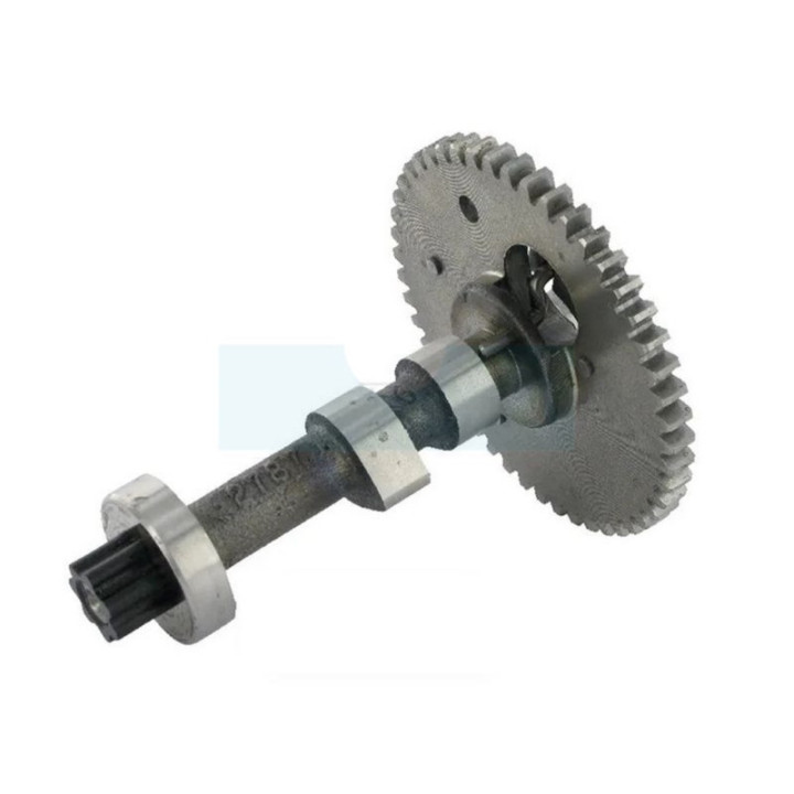 Arbre à cames pour moteur Briggs & Stratton (797851)