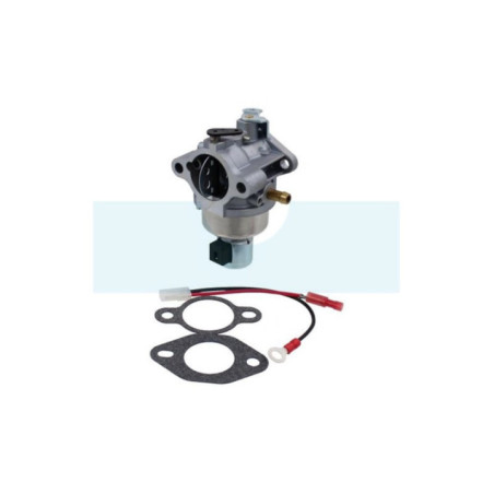 Carburateur pour moteur Kohler (12853178S)