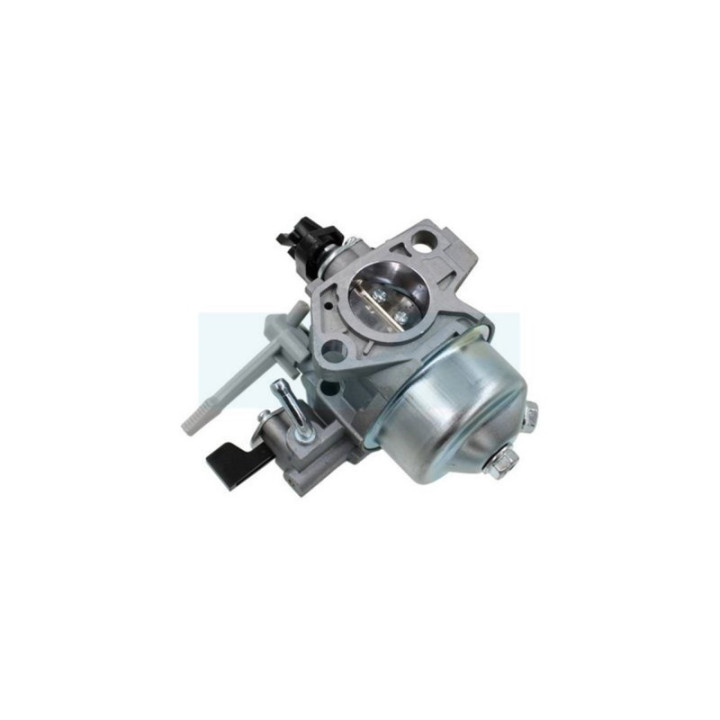 Carburateur pour moteur Loncin (170022169-0001)