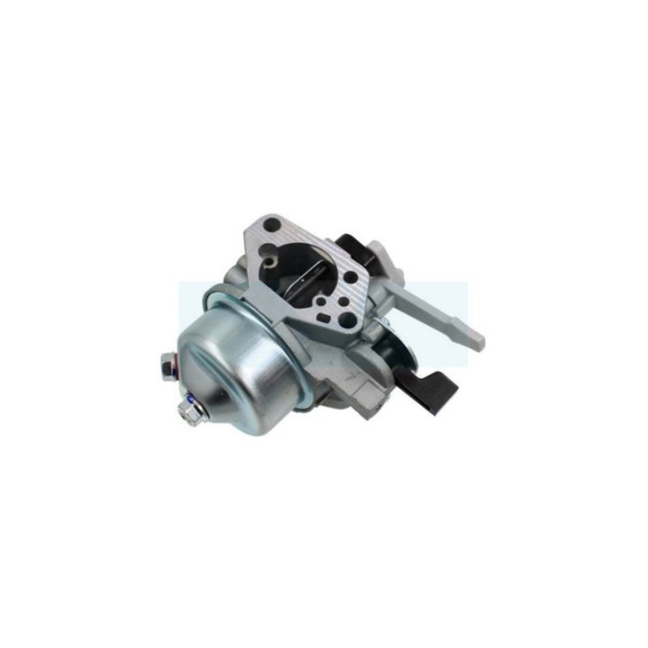 Carburateur pour moteur Loncin (170022169-0001)