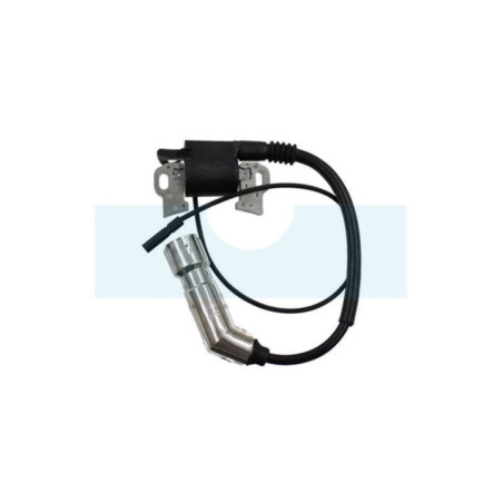 Bobine d'allumage pour moteur Loncin (270920181-0001)