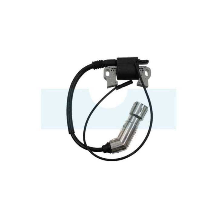 Bobine d'allumage pour moteur Loncin (270920181-0001)