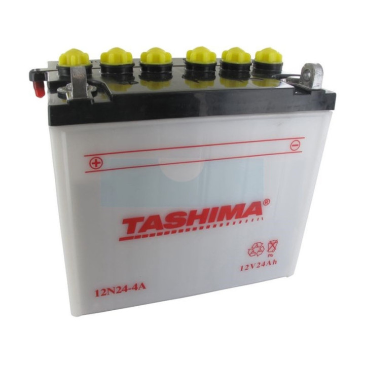 Batterie plomb Tashima 12V, 24Ah (12N244A)