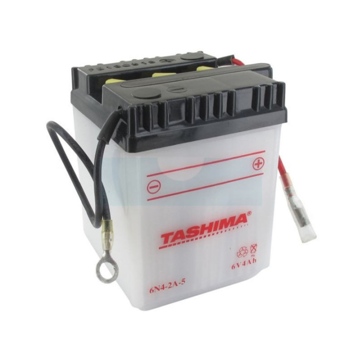 Batterie plomb Tashima 6V, 4Ah (6N42A5)