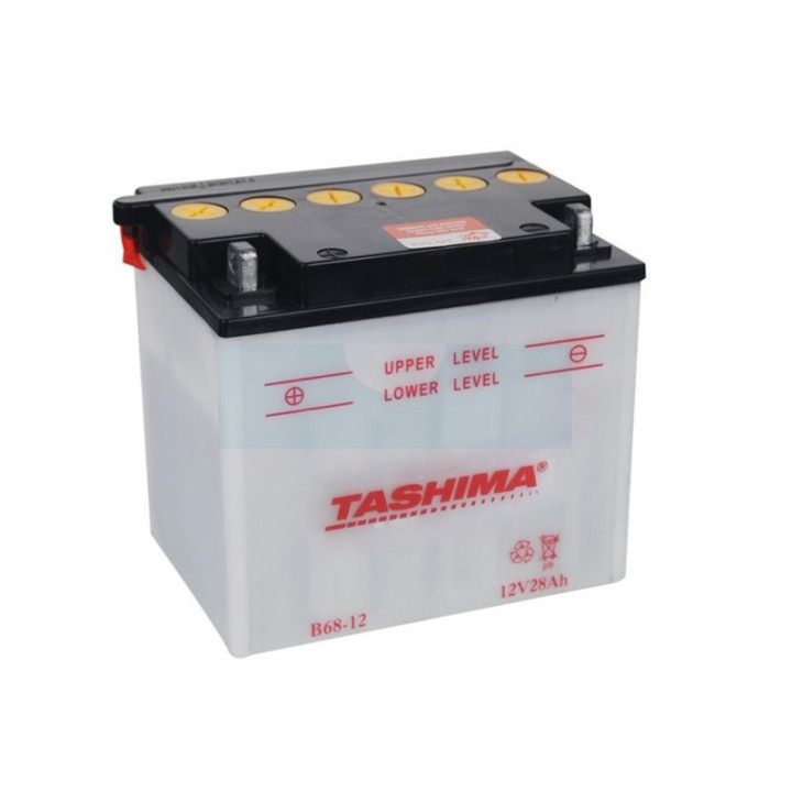 Batterie plomb Tashima pour tondeuse autoportée 12V, 28Ah (B6812)