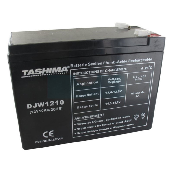 Batterie motoculture Tashima 12V, 10Ah adaptable pour ECOMOWER (DJW1210)